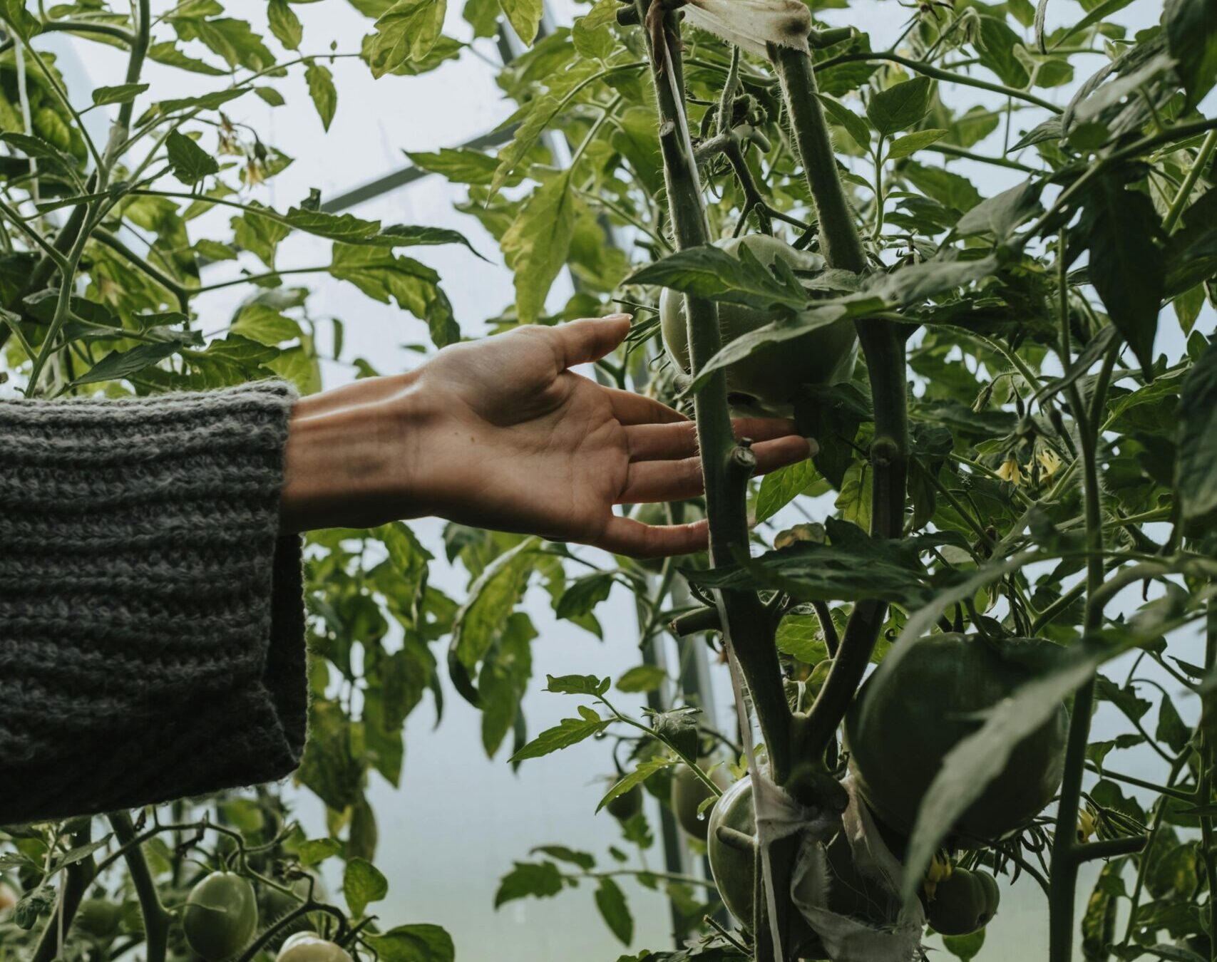 pexels-cottonbro-5561300 pexels-cottonbro-5561300