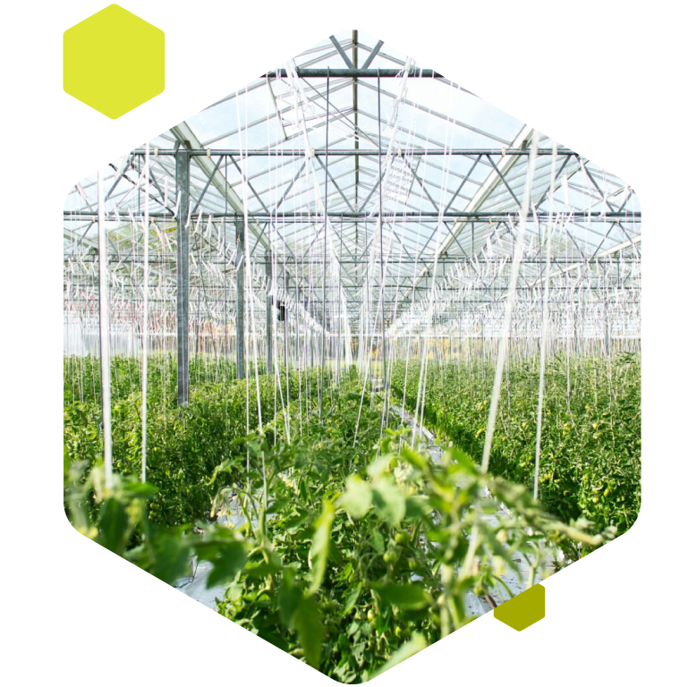 Crop monitor agrár környezetben