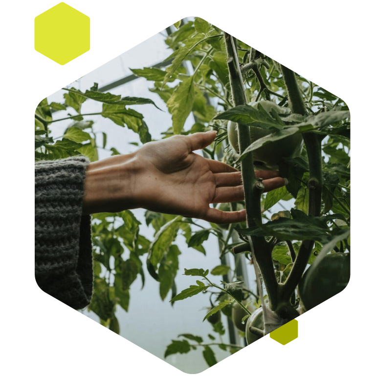 Gremon Systems Zrt. precíziós megoldás Gremon Systems Zrt. precíziós megoldás