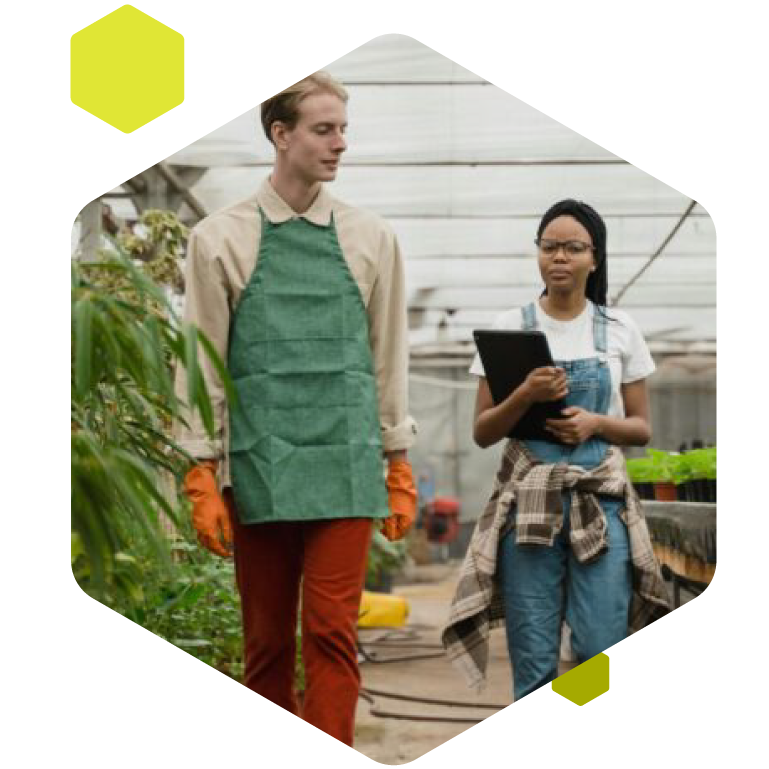 Gremon Trutina rendszer