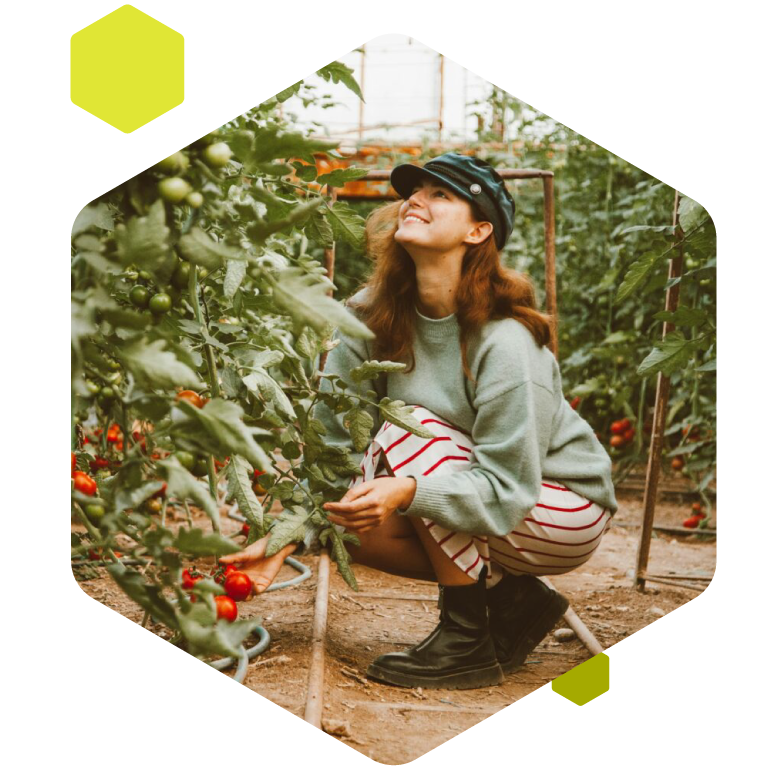 Gremon Workflow forradalmasítása